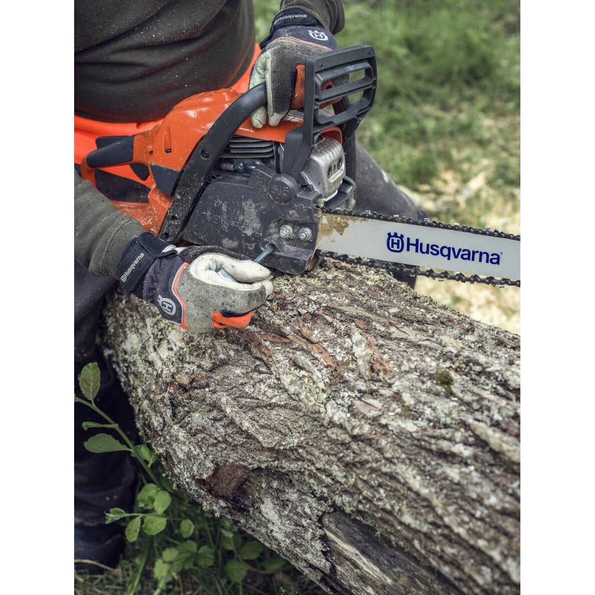 Pjūklas benzininis HUSQVARNA 135 Mark II 1 Pjūklas benzininis HUSQVARNA 135 Mark II 1